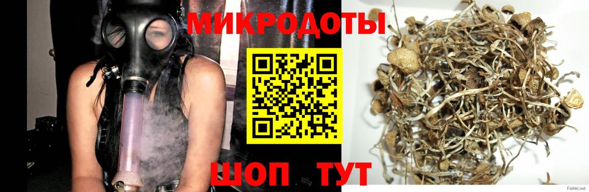 Галлюциногенные грибы Psilocybine cubensis  Галлюциногенные грибы прущие грибы  Вход с VPN  Бирск 