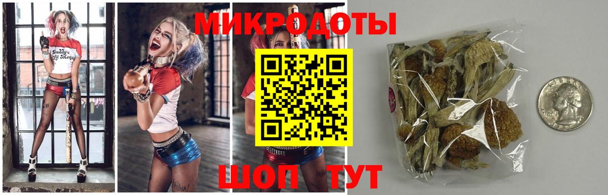 Псилоцибиновые грибы прущие грибы Бирск